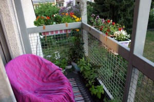 balkon-pflanzen-korbsessel